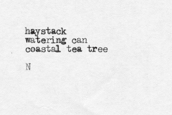 haystack watering can coastal tea tree N 