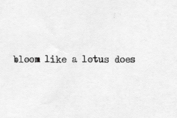 bloom like a lotus does 