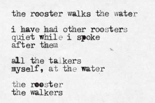 the rooster walks the water i have had other roosters quiet while i spoke after them all the talkers myself , at the water the rooster the walkers 
