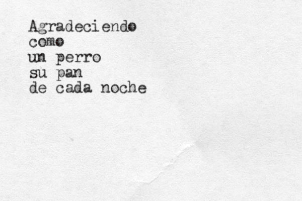 Agradeciendo como un perro su pan de cada noche