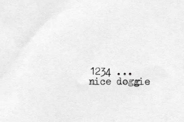 1234 ... nice doggie