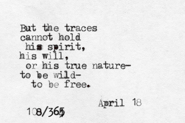 But the traces cannot hold his spirit, his will, or his true nature- to be wild- to be free. April 18 108/364 5 365
