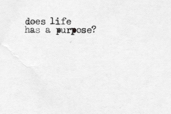 does life has a purpose?