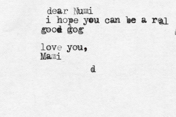 d dear Numi i hope you can be a re al good gooe d g dog love you, Mami