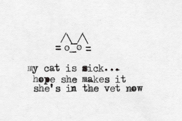 /\_/\ o o _ = = my cat is sick ... hope she makes it she's in the vet now 