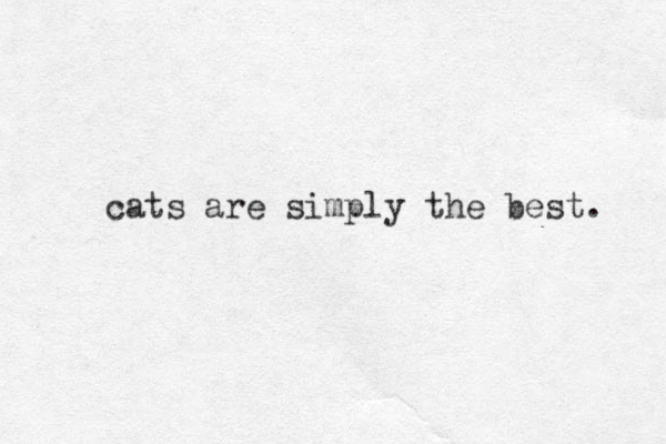 cats are simply the best. 