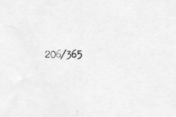 206/365