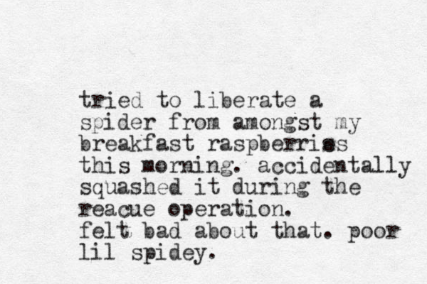 tried to liberate a spider from amongst my breakfast raspberris es this morning. accidentally squashed it during the reacue operation. felt bad about that. poor lil spidey. 