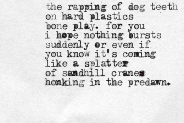the rapping of dog teeth on hard plastics bone play. for you i hope nothing bursts suddenly or even if you know it's coming like a splatter of sandhill cranes honking in the predawn. 
