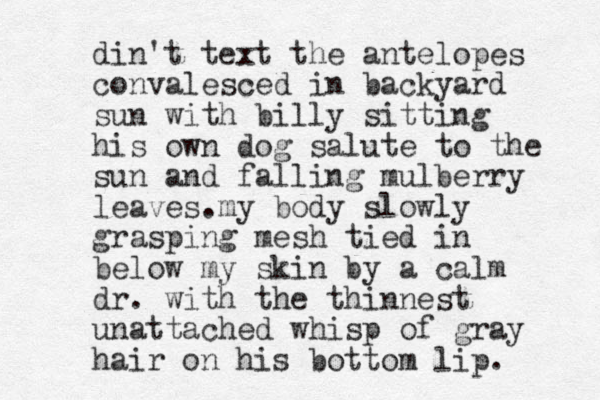 din't text the antelopes convalesced in backyard sun with billy sitting his own dog salute to the sun and falling mulberry leaves.my body slowly grasping mesh tied in below my skin by a calm dr. with the thinnest unattached whisp of gray hair on his bottom lip. 