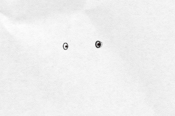 O O . .