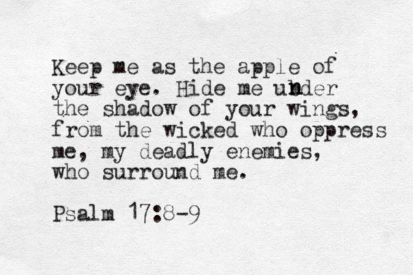 Keep me as the apple of your eye. Hide me ubder the shadow of your wings, from the wicked who oppress me, my deadly enemies, who surround me. Psalm 17:8-9 n n 
