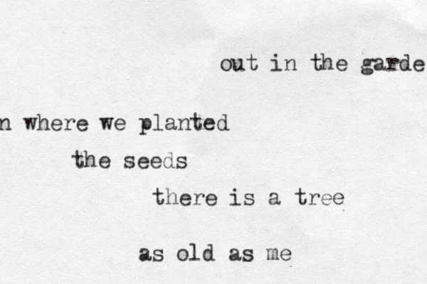 out in the garde n where we planted the seeds there is a tree as old as me