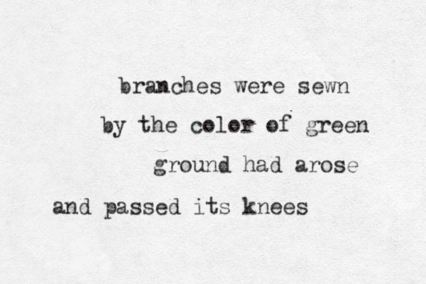 branches were sewn by the color of green ground had arose and passed its knees
