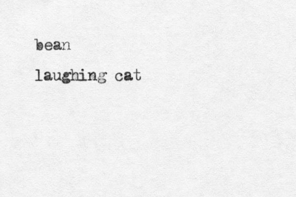 bean laughing cat