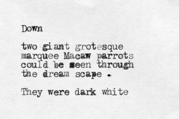 Down two giant grotesque marquee Macaw parrots could be seen through the dream scape . They were dark white 