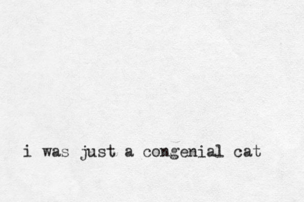 i was just a congenial cat 