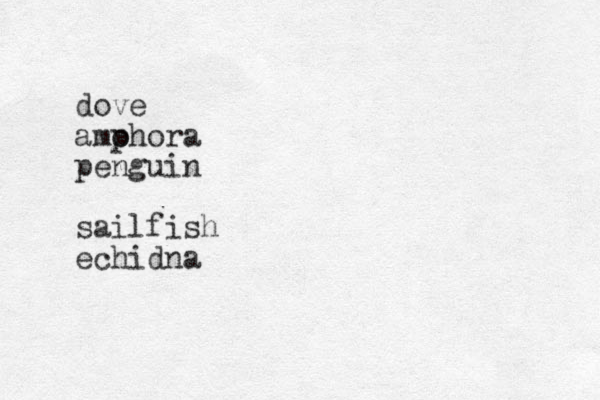 dove amohora p penguin sailfish echidna