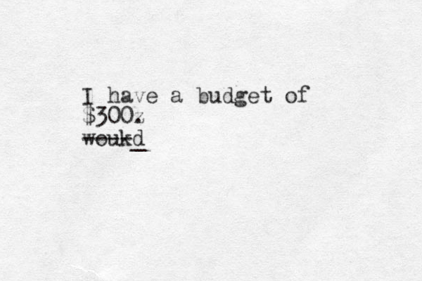 I have a budget of $300z . woukd ----_ 