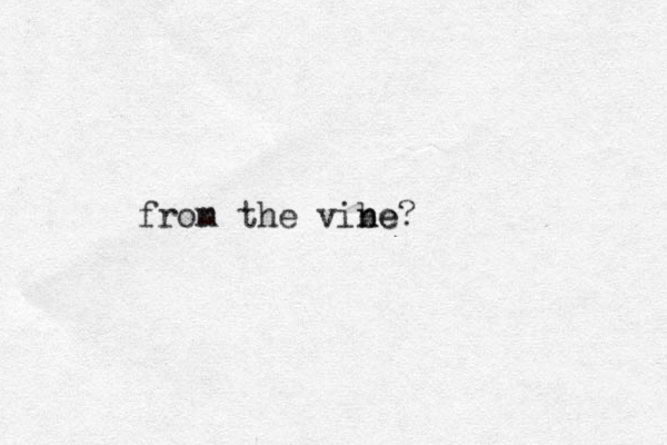 fron m the vibe n ne? 