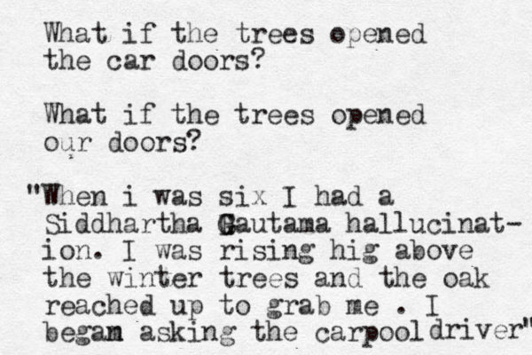 What if the trees opened the car doors? What if the trees opened our doors? When " i was six I had a Siddhartha B G Gautama hallucinat- ion. I was rising hig above the winter trees and the oak reached up to grab me . I begam n asking the carpool driver" " 