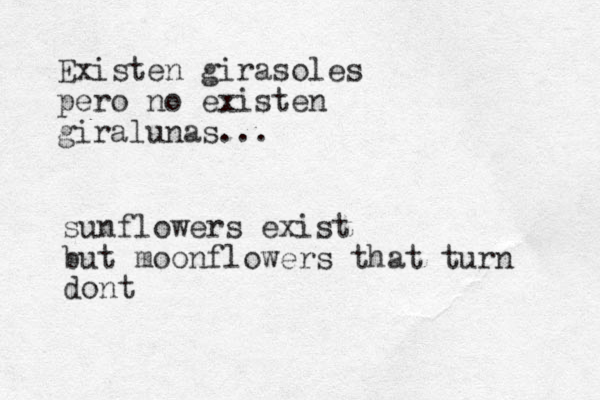 Existen girasoles pero no existen giralunas... sunflowers exist but moonflowers that turn dont