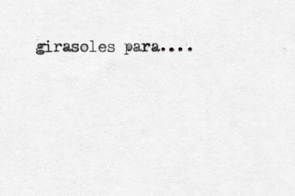 girasoles para....