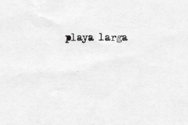 playa larga