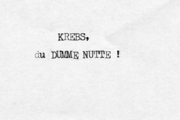 KREBS, du DUMME NUTTE ! 