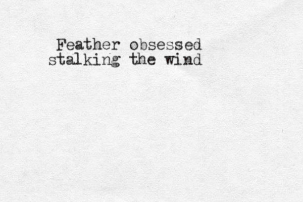 Feather obsessed stalking the wind