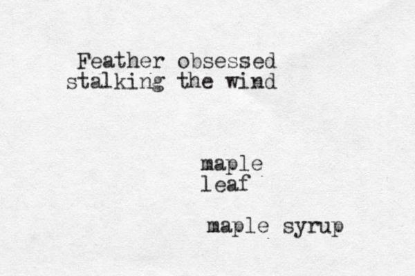 Feather obsessed stalking the wind maple leaf maple syrup 