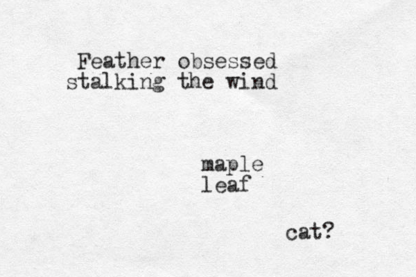 Feather obsessed stalking the wind maple leaf cat?