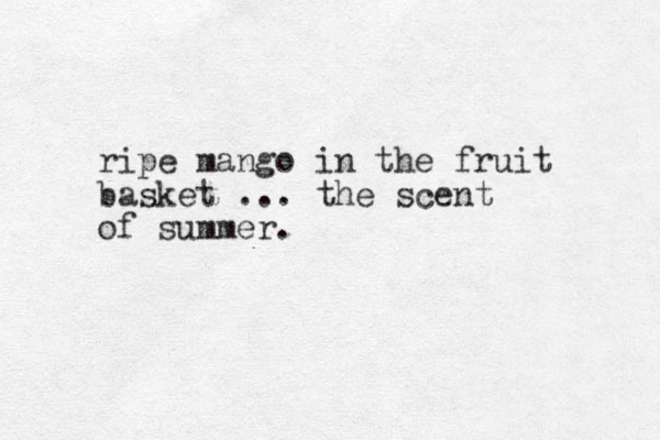 ripe mango in the fruit basket ... the scent of summer.
