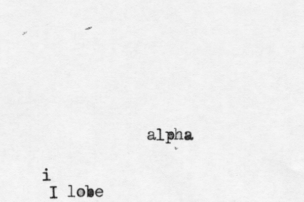 alpha i I lobe