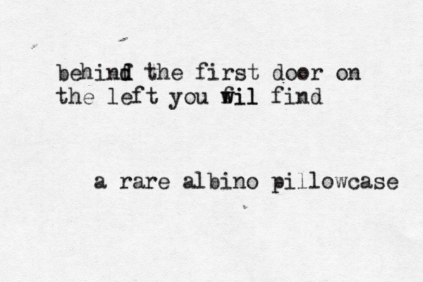 behinf d d the first door on the left you fil w wil fi a rare albino pillowcase