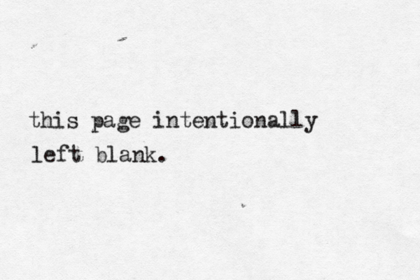 this page intentionally left blank 