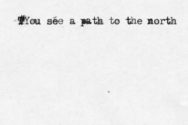 T #You see a path to the north