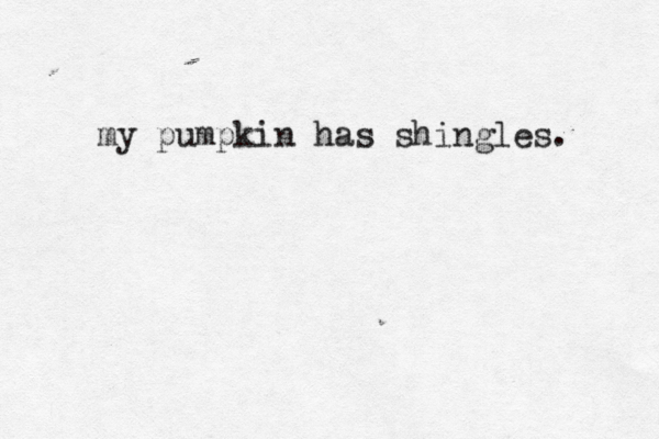 my pumpkin has shingles .
