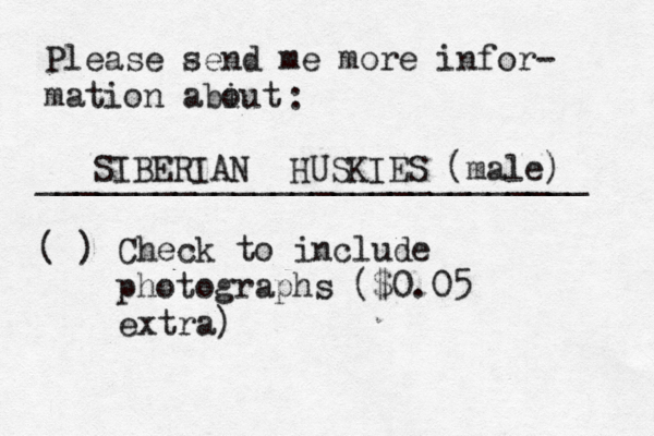 Please send me more infor- mation abiut o : ____________________________ ( ) Check to include photographs ($0.05 extr SIBERIAN HUSKIES (male)