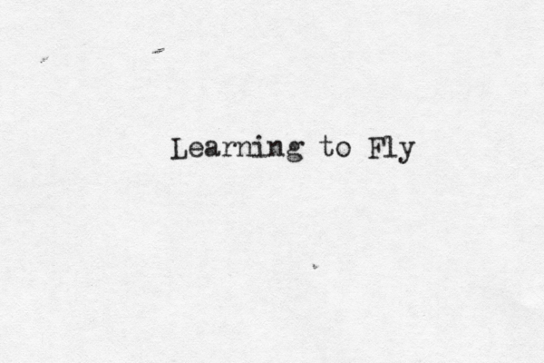Learning to Fl