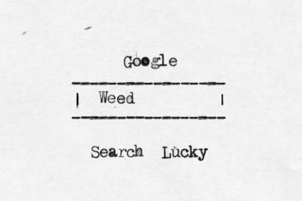Google ----------------- | | ----------------- Search Luck Weed