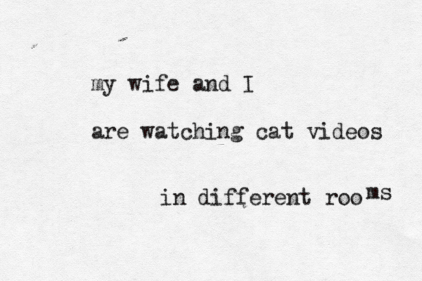 my wife and I are watching cat videos in different roo ms