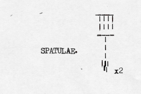 SPATULAE. |||| |||| ---- | | | | | | | | | | | | ____ x2