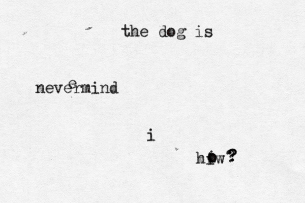 i the dog is nevermind hiw o o i ? ? ? e