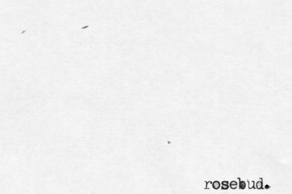rosebud.