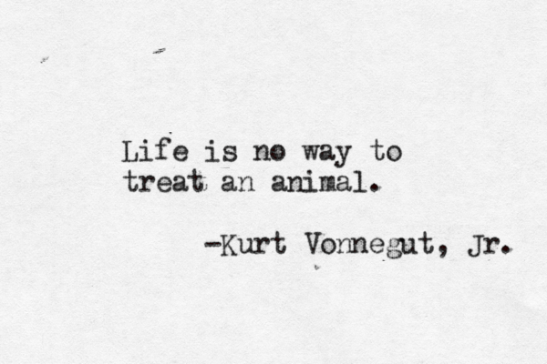 Life is no way to treat an animal. -Kurt Vonnegut, Jr.