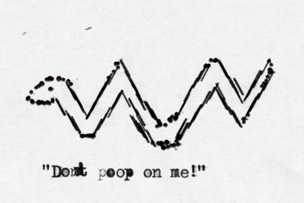 ////////////////////////////////// //////////////\\\\\\\\\\\\\\\\\\\\\\\\\\\\\\\\\\\\\\\\\\\\\\\\\\\\.................................................................................... "Dont 'm poop o n me!