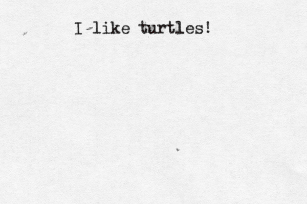 I like turtles!