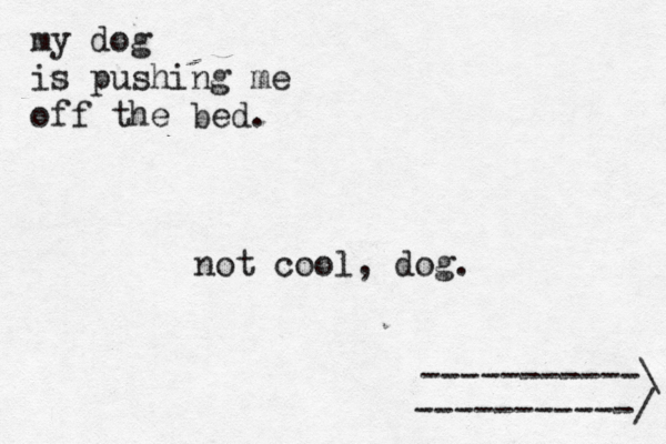 my dog is pushing me off the bed. -----------> \ -----------/ not cool, dog