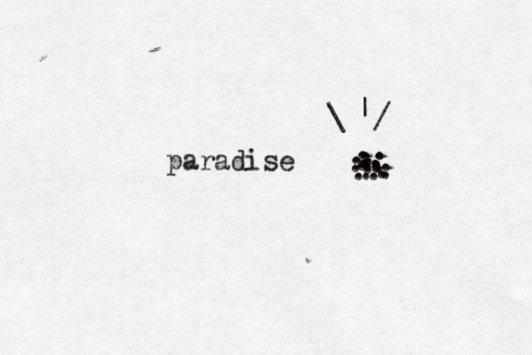 paradise . .................... /\